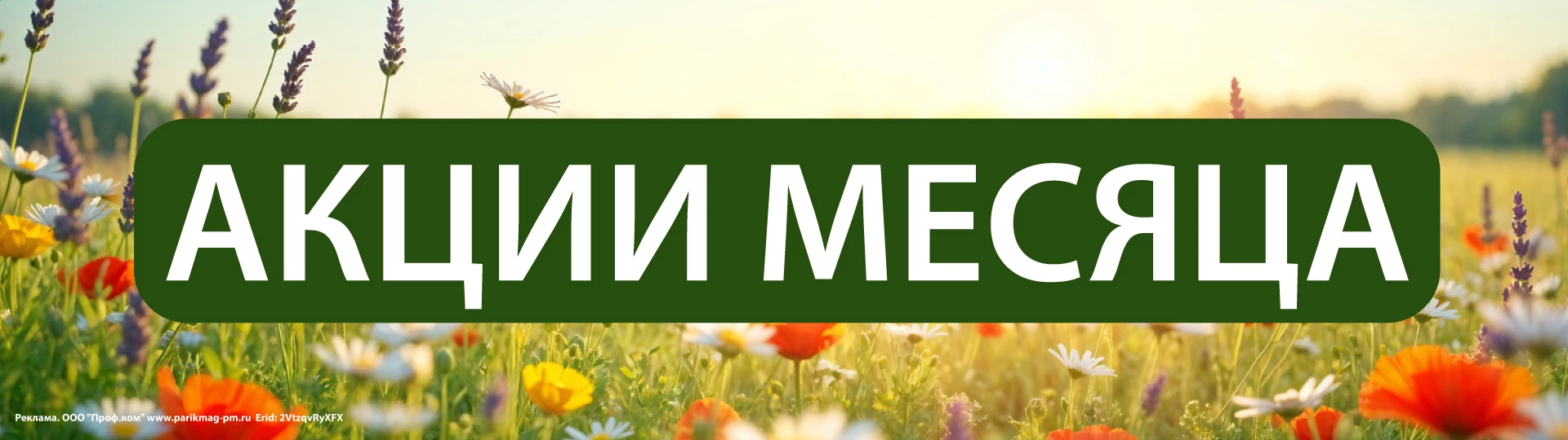 Акции месяца_hd