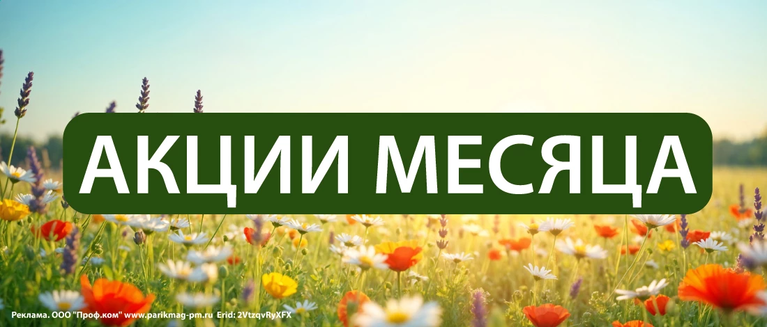 Акции месяца_sd
